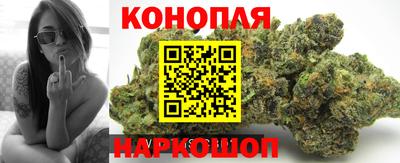 spice Можга