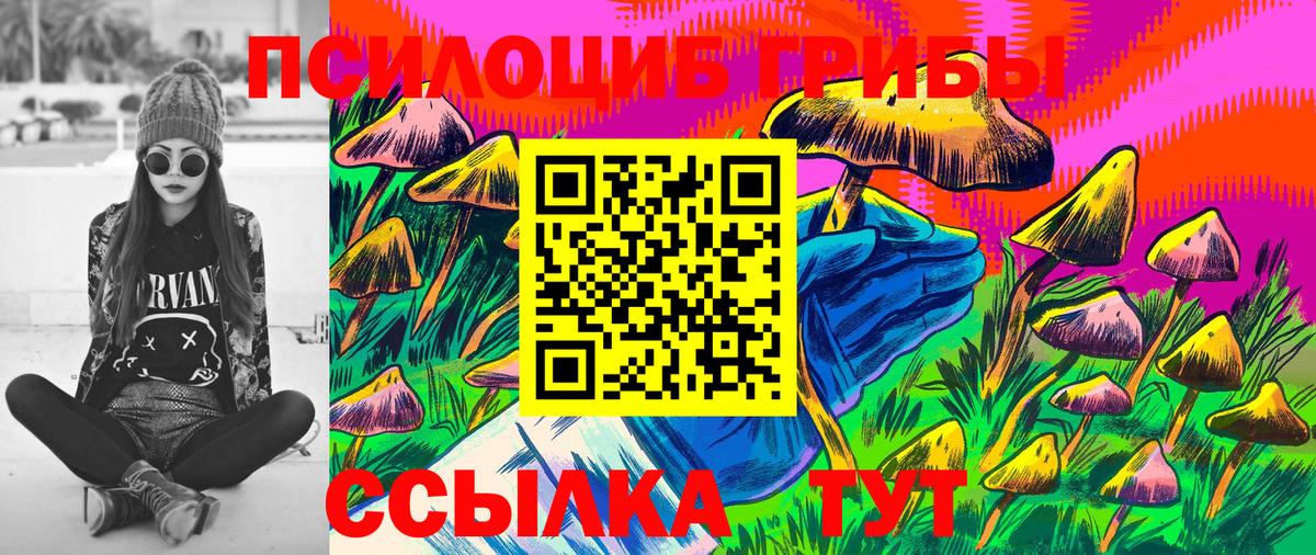 Верхняя Салда  Галлюциногенные грибы прущие грибы  Вход с VPN 