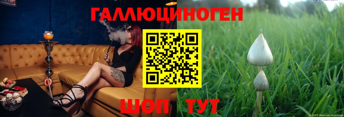 Галлюциногенные грибы мицелий Верхняя Салда